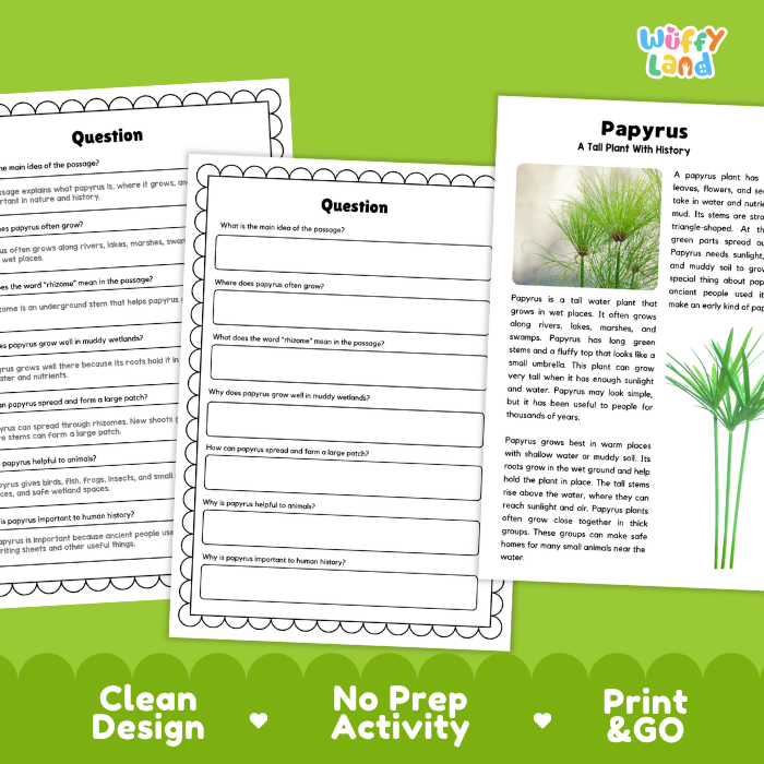Papyrus Plant Reading Passages and Comprehension Questions Worksheets