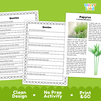 Papyrus Plant Reading Passages and Comprehension Questions Worksheets