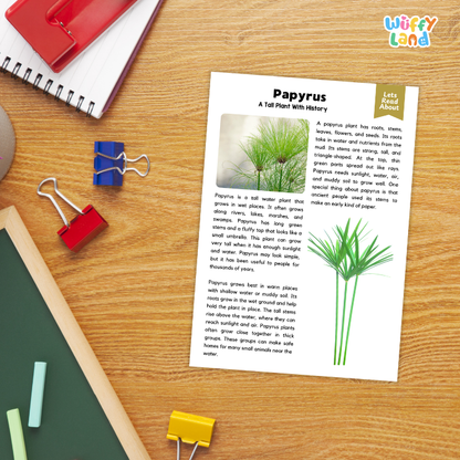Papyrus Plant Reading Passages and Comprehension Questions Worksheets