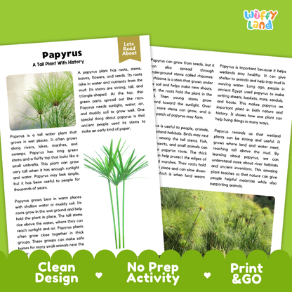 Papyrus Plant Reading Passages and Comprehension Questions Worksheets