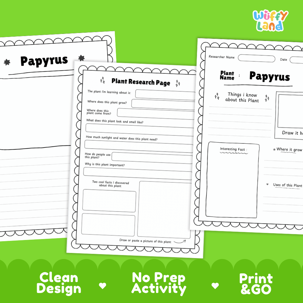 Papyrus Plant Research Page Worksheets and Fact Sheet Activity