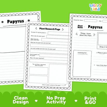 Papyrus Plant Research Page Worksheets and Fact Sheet Activity
