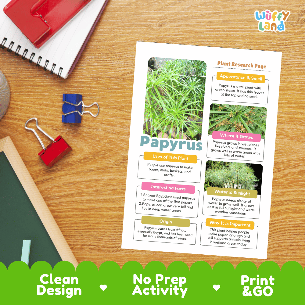 Papyrus Plant Research Page Worksheets and Fact Sheet Activity