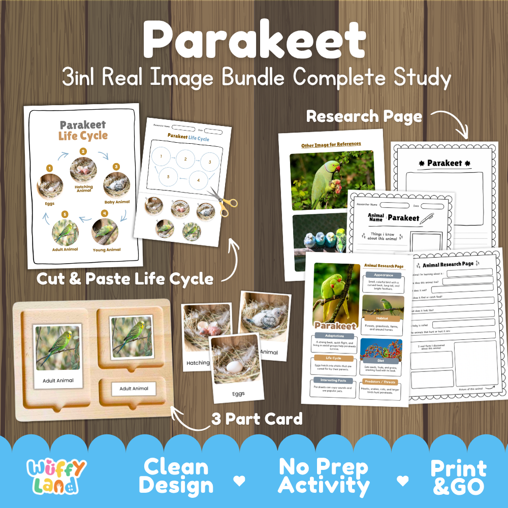 Parakeet 3-in-1 real image bundle complete study cover showing cut and paste life cycle, 3 part cards, and research pages