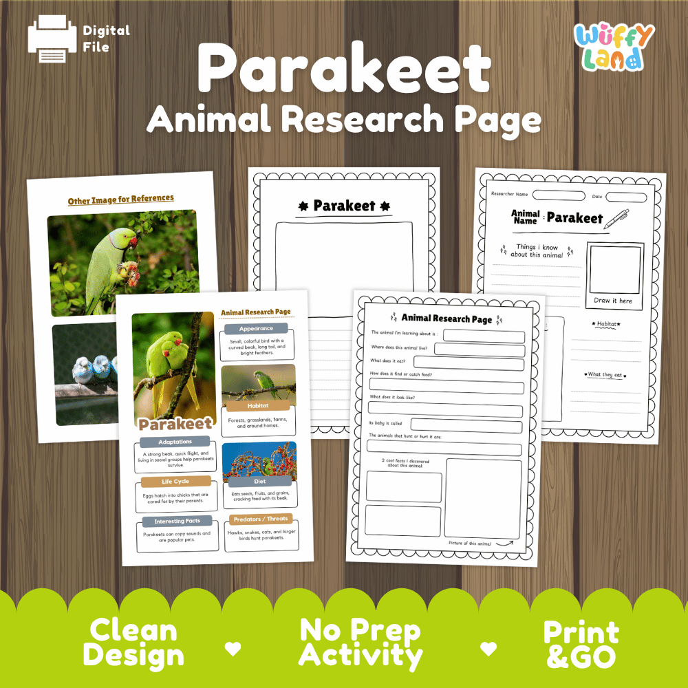 Parakeet Animal Research Page Worksheets and Fact Sheet Activity
