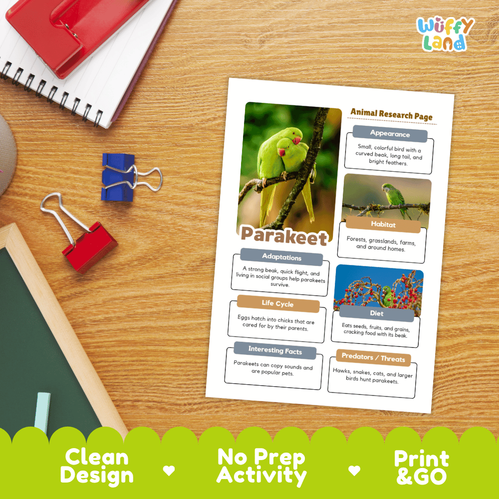 Parakeet Animal Research Page Worksheets and Fact Sheet Activity