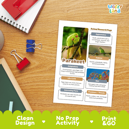 Parakeet Animal Research Page Worksheets and Fact Sheet Activity