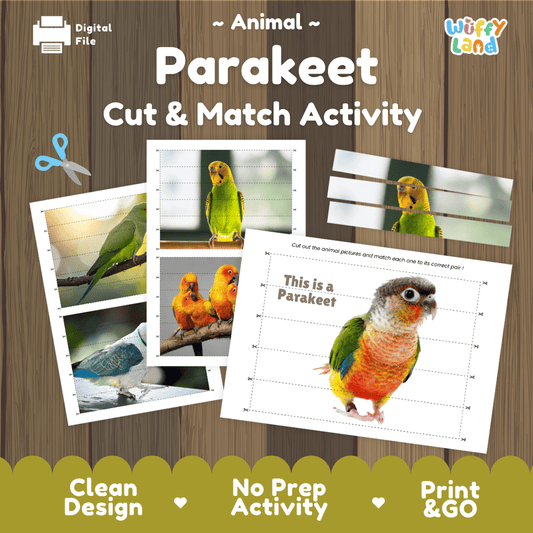 Parakeet Cut and Match Activity Worksheets | Bird Puzzle Printables