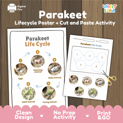 Parakeet Life Cycle Poster and Cut and Paste Worksheet Activity