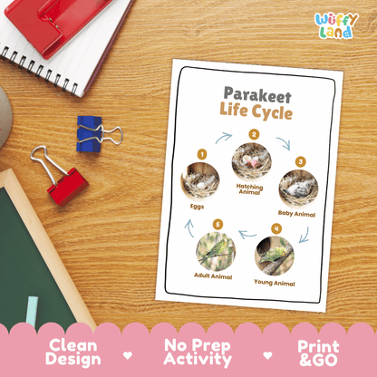 Parakeet Life Cycle Poster and Cut and Paste Worksheet Activity