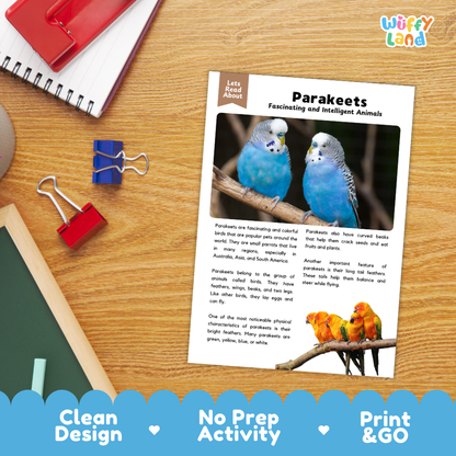 Parakeets Reading Passage and Comprehension Questions Worksheets with Answer Key