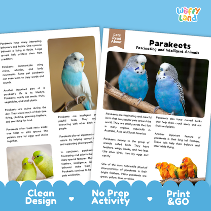 Parakeets Reading Passage and Comprehension Questions Worksheets with Answer Key