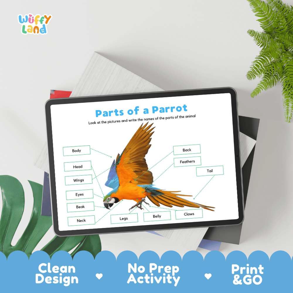 Educational cut and paste parrot anatomy worksheet with printable word cutout tiles for wings, beak, feathers, claws, and tail