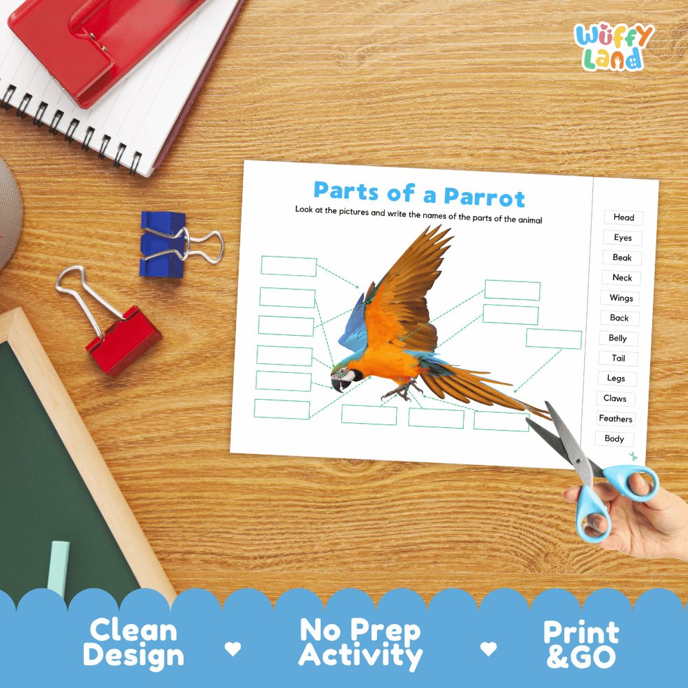 Printable bird anatomy worksheet showing a colorful realistic parrot with blank labeling boxes and a vocabulary word bank for writing practice