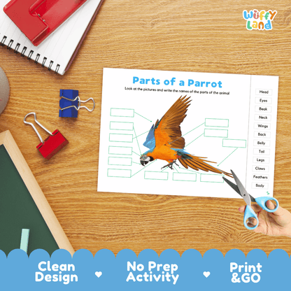 Printable bird anatomy worksheet showing a colorful realistic parrot with blank labeling boxes and a vocabulary word bank for writing practice