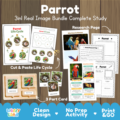 Parrot 3-in-1 real image bundle complete study cover showing cut and paste life cycle, 3 part cards, and research pages