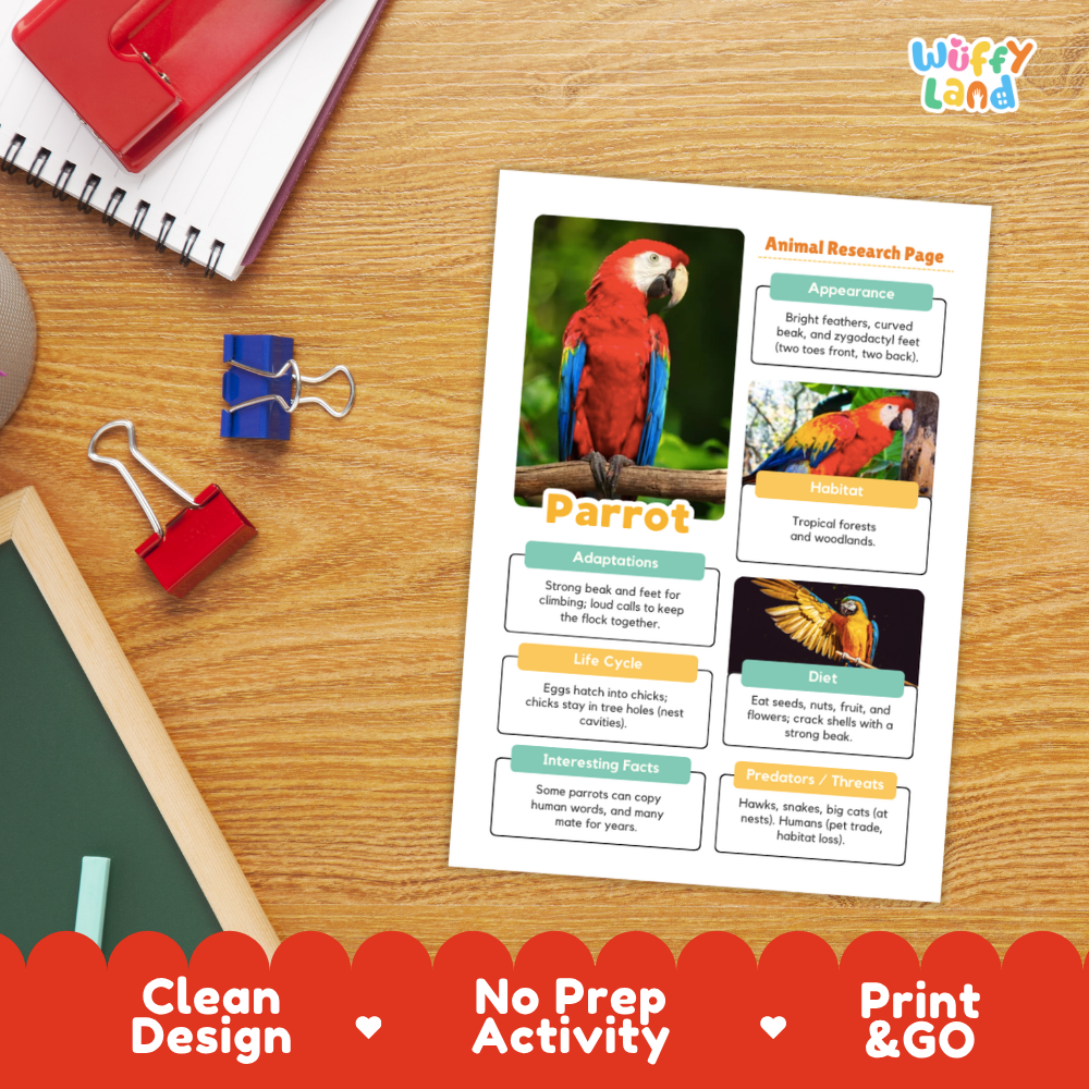 An educational activity sheet titled 'Animal Research Page' focused on 'Parrot', displayed on a wooden desk with school supplies. The sheet features colorful parrot photos, text boxes, and a red header.