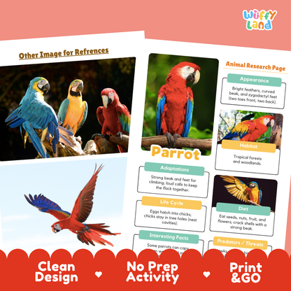 Two printed educational activity sheets about parrots displayed on a coral background, with the brand name 'Wiffly Land' in the top right. The sheets include labeled sections such as 'Other Image for References,' 'Animal Research Page,' 'Parrot,' and 'Appearance,' 'Habitat,' 'Adaptations,' 'Lifes Cycle,' 'Diet,' and 'Interesting Facts,' alongside photos of colorful parrots.