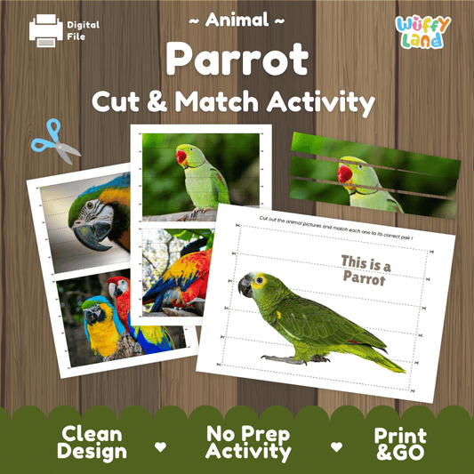 Parrot Cut and Match Activity Worksheets | Bird Puzzle Printables