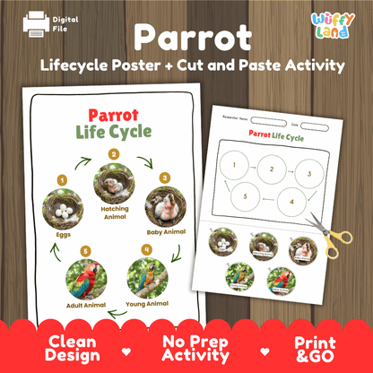 Parrot Lifecycle Poster and Cut and Paste Activity Worksheets | Bird Science Printables