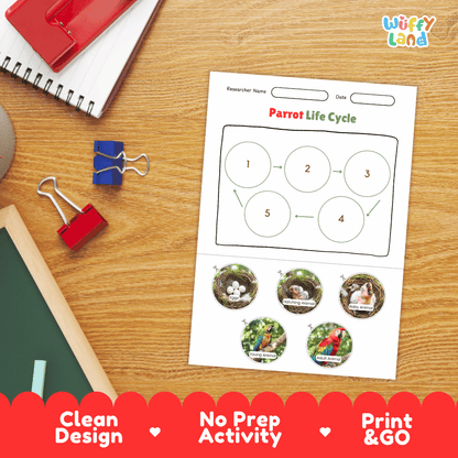 Parrot Lifecycle Poster and Cut and Paste Activity Worksheets | Bird Science Printables