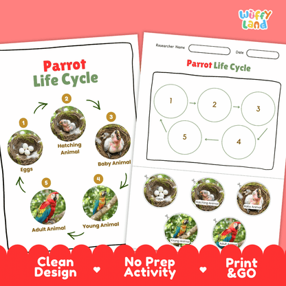 Parrot Lifecycle Poster and Cut and Paste Activity Worksheets | Bird Science Printables