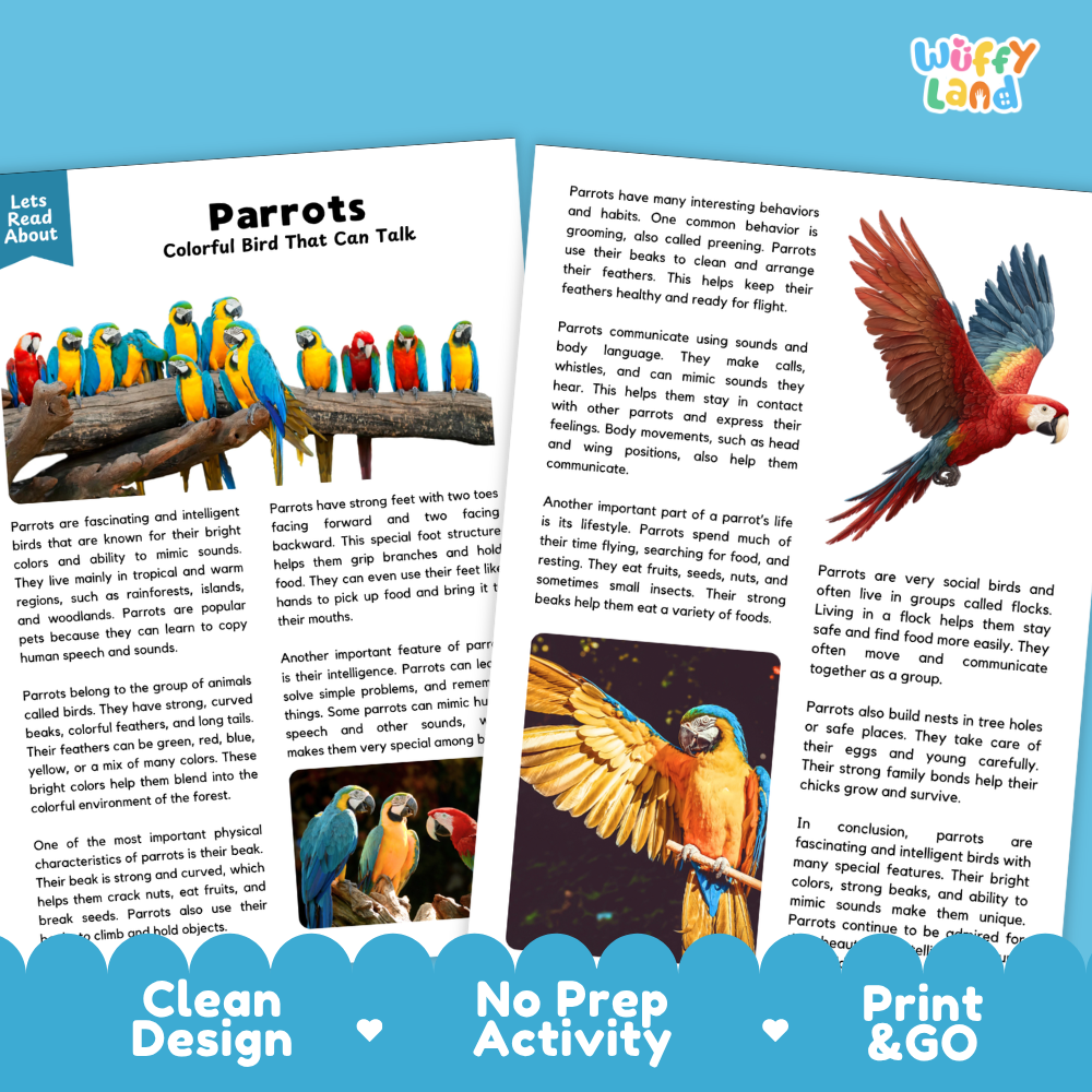 Parrots Reading Passage and Comprehension Questions Worksheets