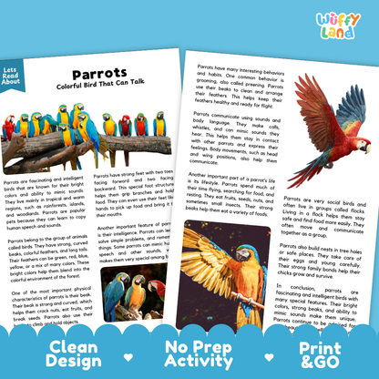 Parrots Reading Passage and Comprehension Questions Worksheets
