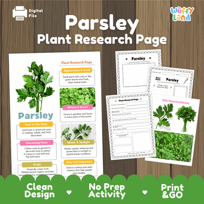 Parsley Plant Research Page Worksheets and Fact Sheet
