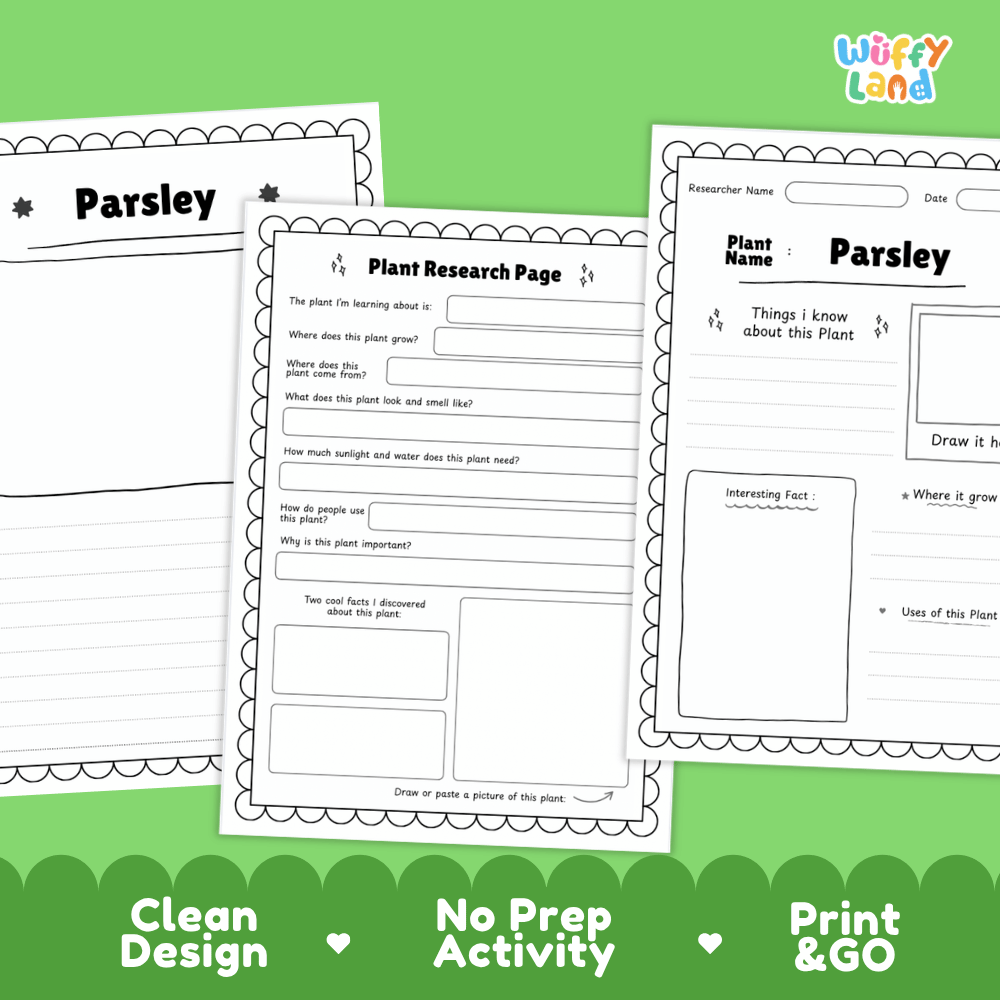 Parsley Plant Research Page Worksheets and Fact Sheet