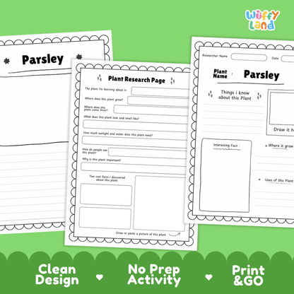 Parsley Plant Research Page Worksheets and Fact Sheet