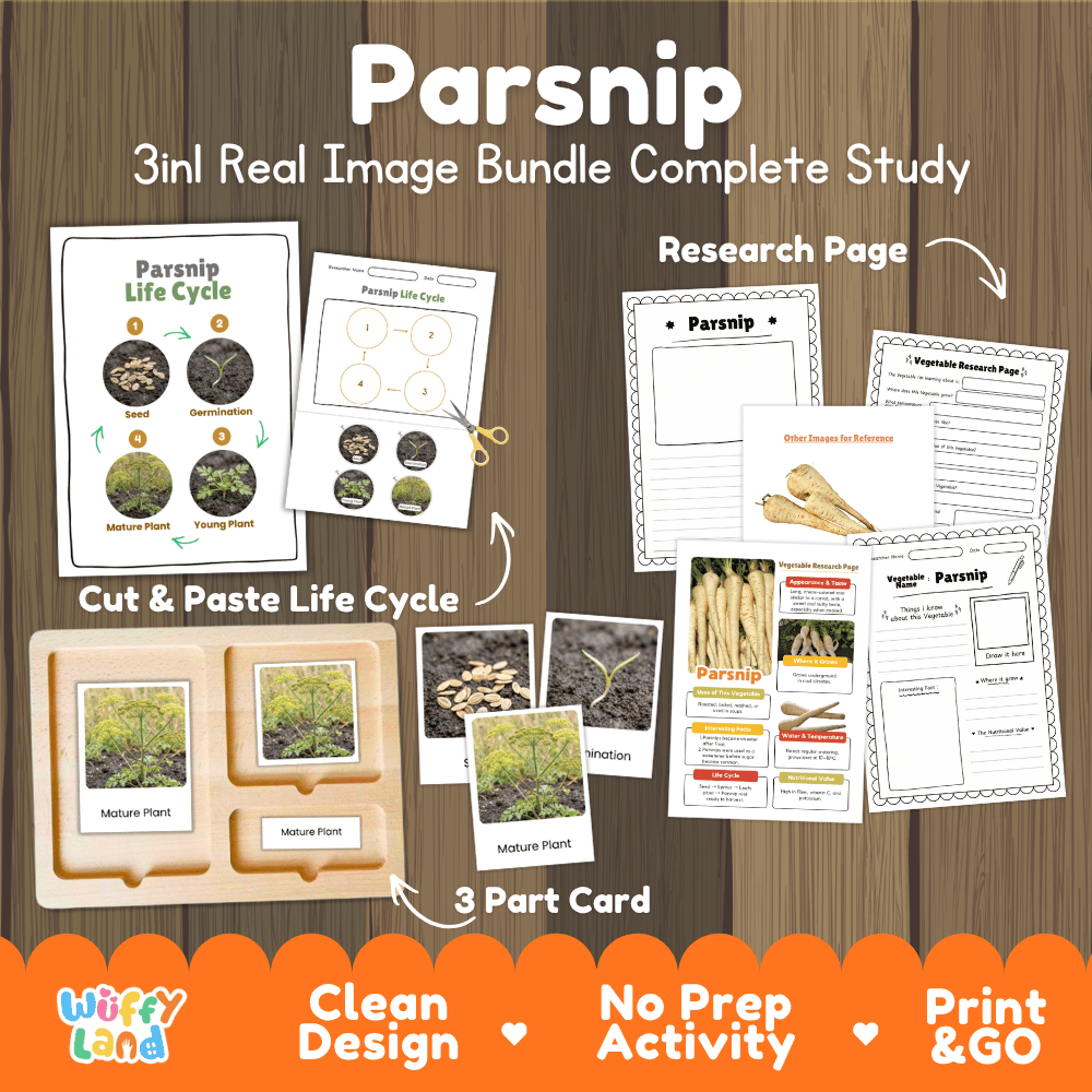 Parsnip 3in1 real image bundle complete study printable featuring life cycle cut and paste worksheets, Montessori 3-part cards, and research pages