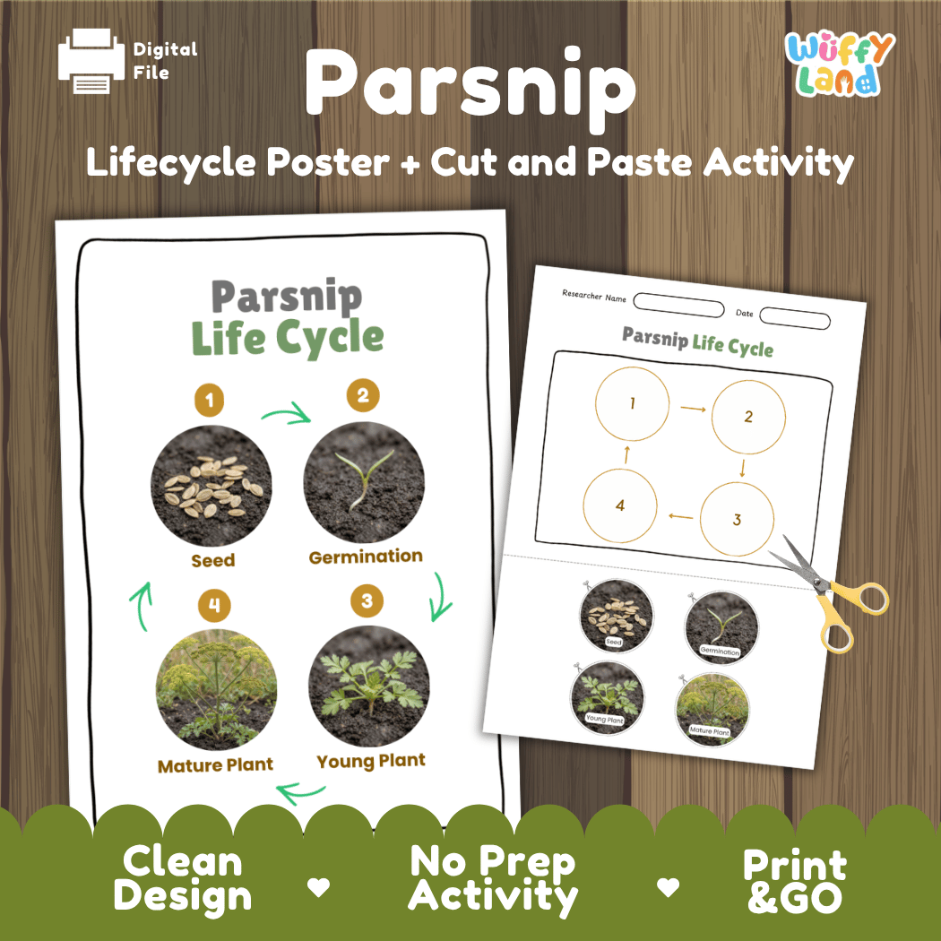 Parsnip plant life cycle educational printable pack cover showing visual reference poster and cut and paste sequencing worksheet with real photography