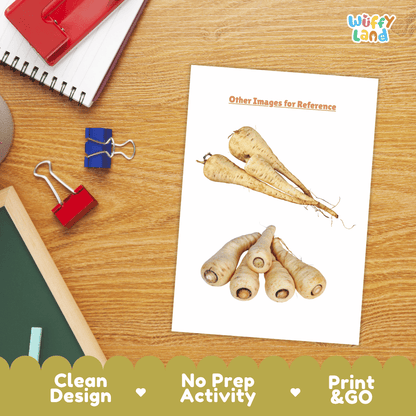 Parsnip Vegetable Research Worksheets and Informational Fact Sheets