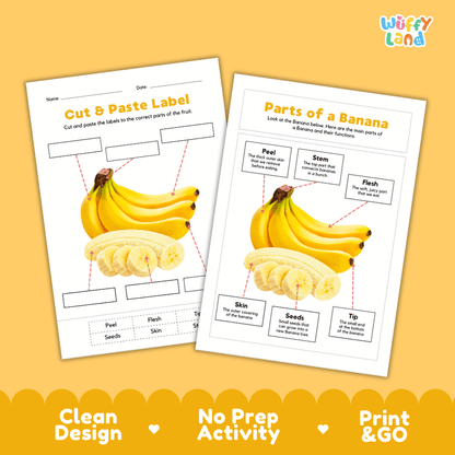 Clean science reference poster displaying a labeled realistic banana showing fruit parts and functions from stem and peel to flesh, seeds, and tip