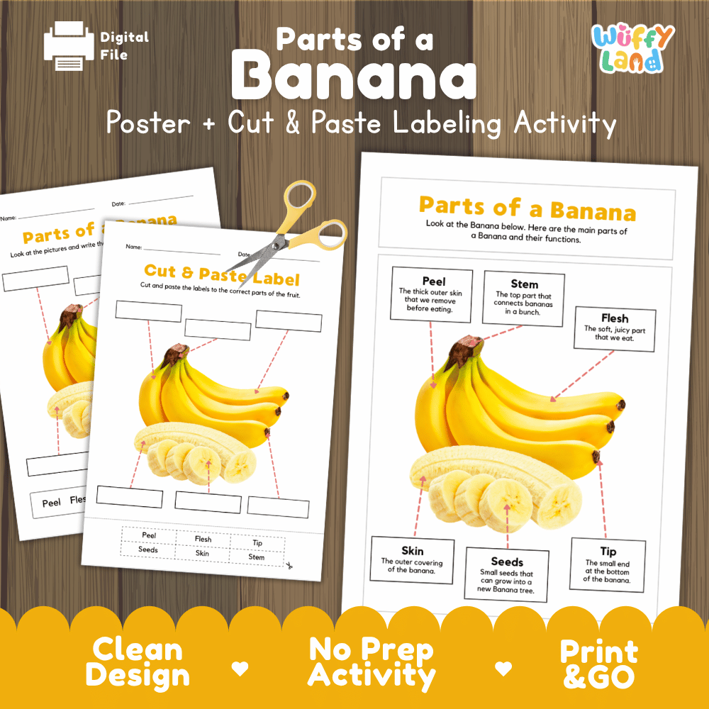 Parts of a Banana poster and cut and paste labeling activity printable pack showing labeled reference chart and differentiated worksheets for elementary science