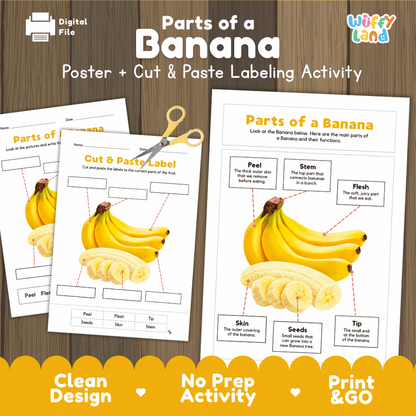 Parts of a Banana poster and cut and paste labeling activity printable pack showing labeled reference chart and differentiated worksheets for elementary science