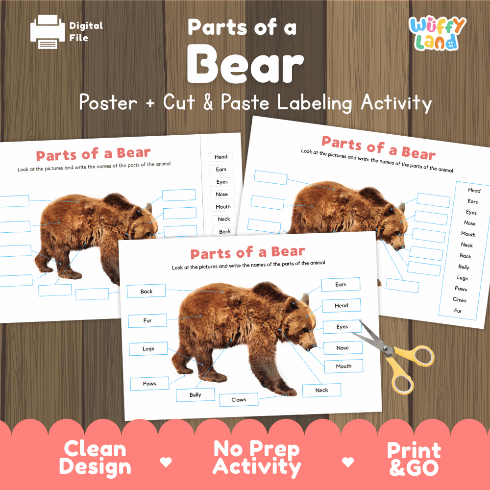 Parts of a Bear poster and cut and paste labeling activity printable pack showing labeled reference chart and differentiated worksheets for elementary science