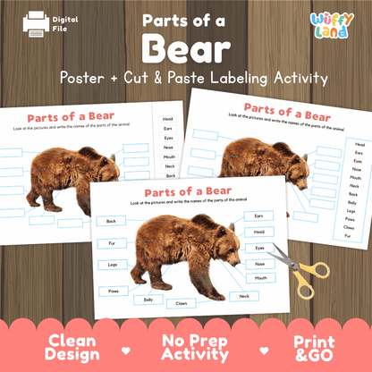 Parts of a Bear poster and cut and paste labeling activity printable pack showing labeled reference chart and differentiated worksheets for elementary science