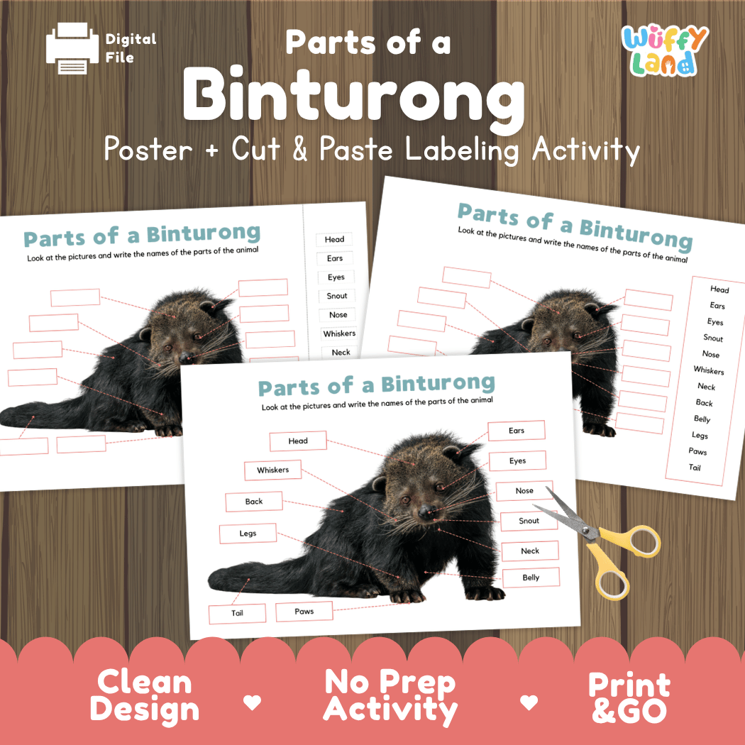 Parts of a Binturong anatomy poster and cut and paste labeling activity worksheet pack preview for elementary science