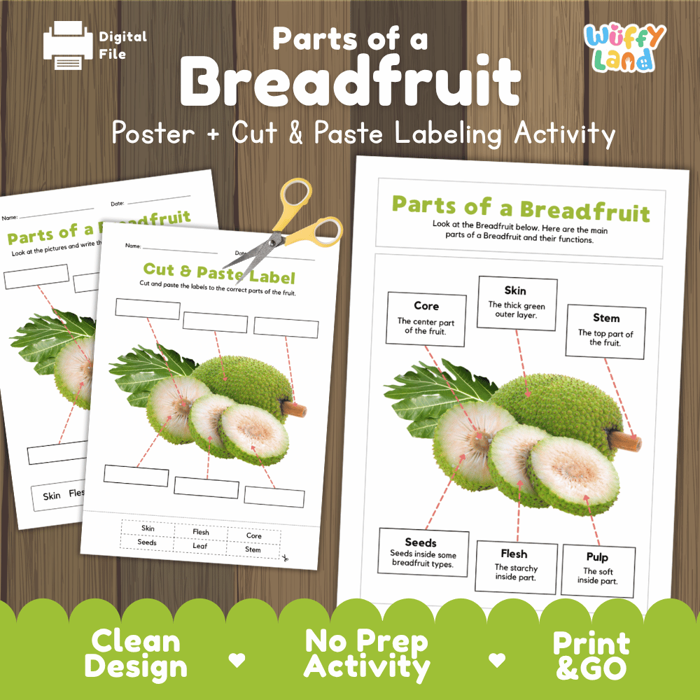 Parts of a Breadfruit poster and cut and paste labeling activity printable pack showing labeled reference chart and differentiated worksheets for elementary science