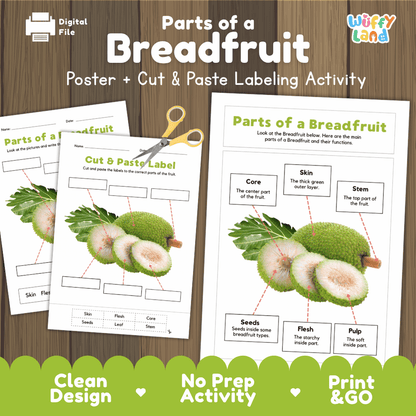 Parts of a Breadfruit poster and cut and paste labeling activity printable pack showing labeled reference chart and differentiated worksheets for elementary science