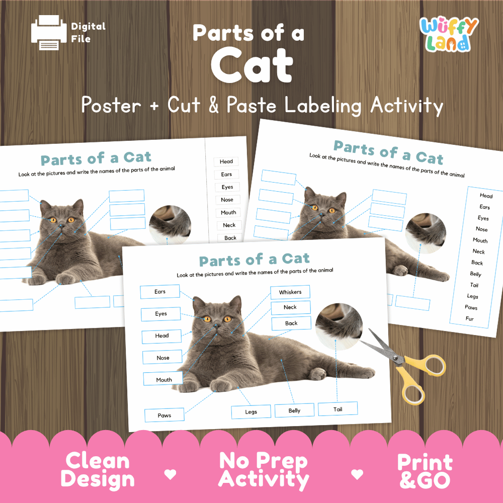 Parts of a Cat poster and cut and paste labeling activity printable pack showing labeled reference chart and differentiated worksheets for elementary science