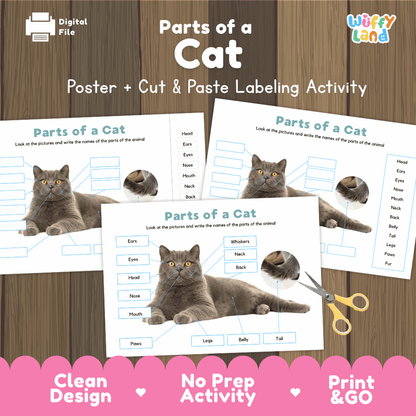 Parts of a Cat poster and cut and paste labeling activity printable pack showing labeled reference chart and differentiated worksheets for elementary science