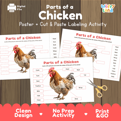 Parts of a Chicken anatomy poster and cut and paste labeling activity worksheet pack preview for elementary science