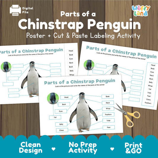 Parts of a Chinstrap Penguin anatomy poster and cut and paste labeling activity worksheet pack preview for elementary science
