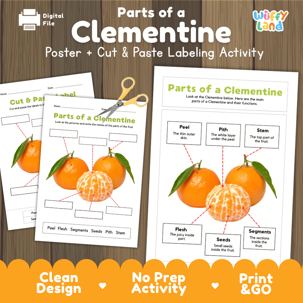 Parts of a Clementine anatomy poster and cut and paste labeling activity worksheet pack preview for elementary science