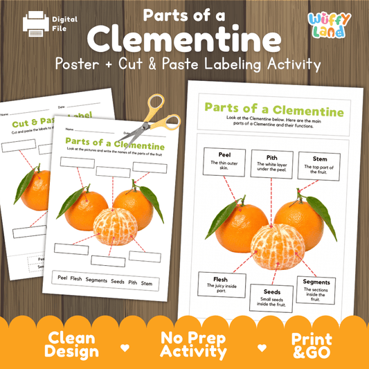 Parts of a Clementine anatomy poster and cut and paste labeling activity worksheet pack preview for elementary science