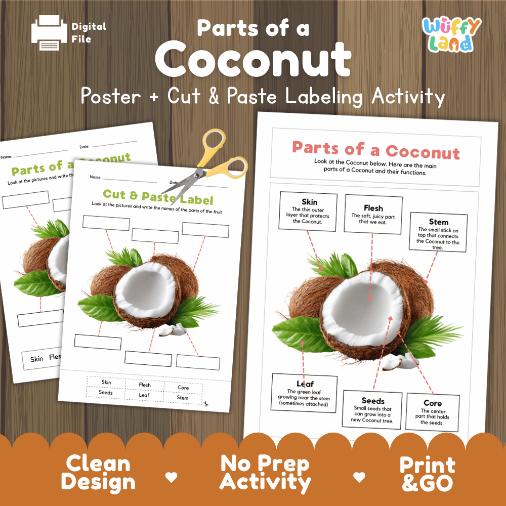 Parts of a Coconut poster and cut and paste labeling activity printable pack showing labeled reference chart and differentiated worksheets for elementary science