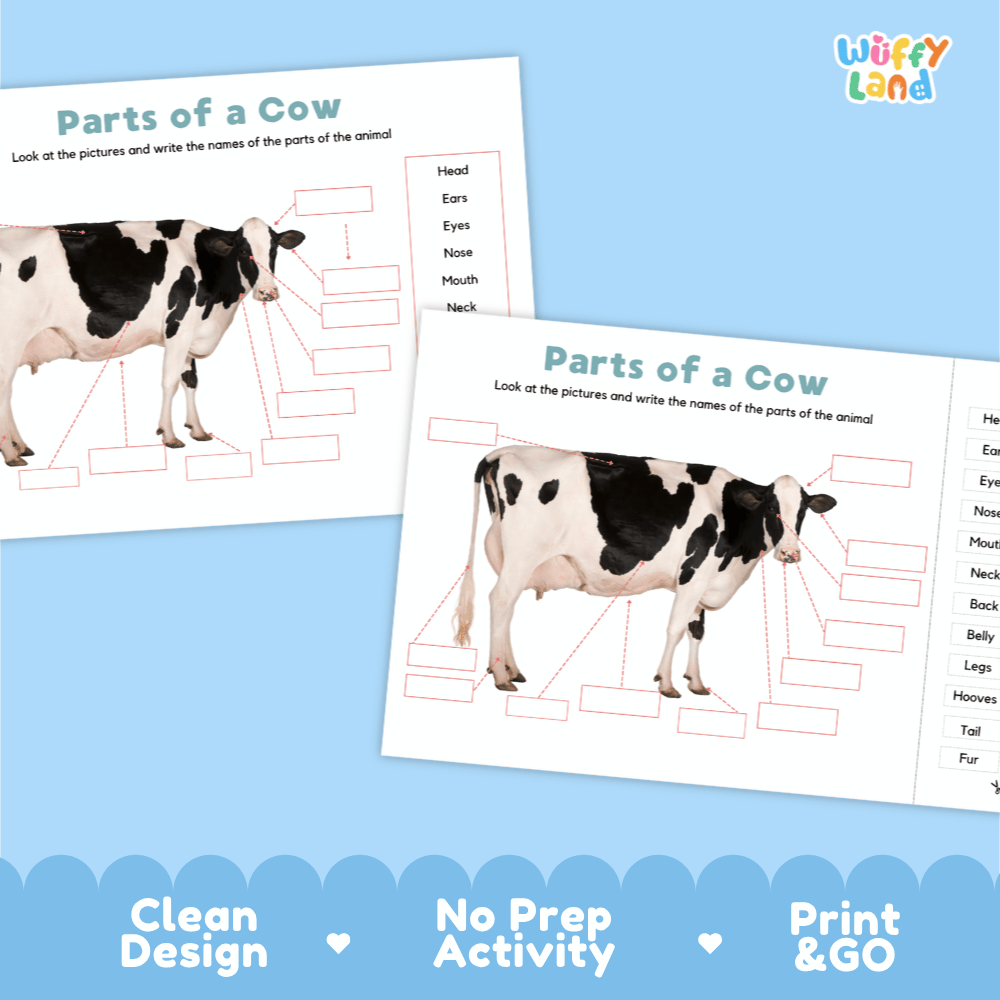 Clean science reference poster displaying a labeled realistic Holstein cow showing external body parts from head to hooves